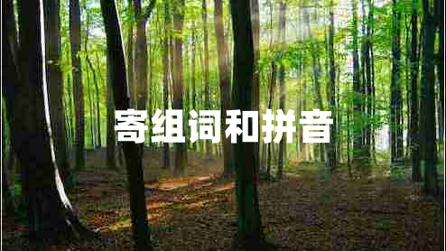 寄組詞和拼音