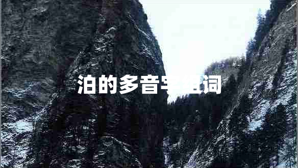 泊的多音字組詞