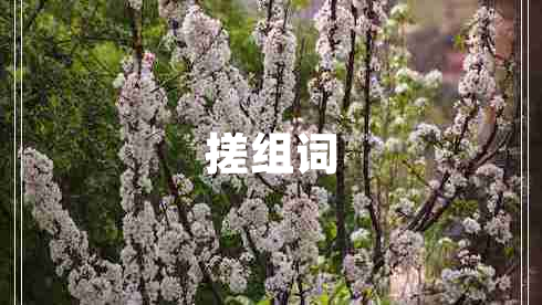 搓組詞