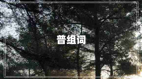 普組詞
