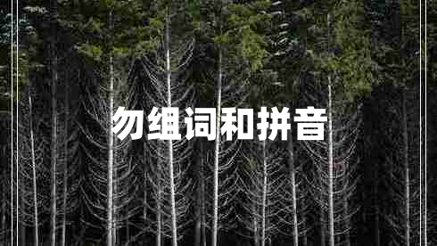 勿組詞和拼音