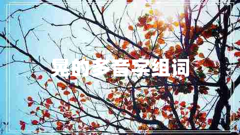 晃的多音字組詞