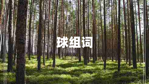 球組詞
