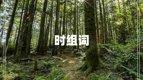 時組詞 時組詞