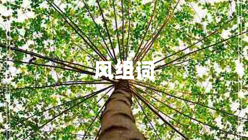 風(fēng)組詞