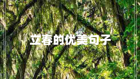 立春的優(yōu)美句子 立春的優(yōu)美句子