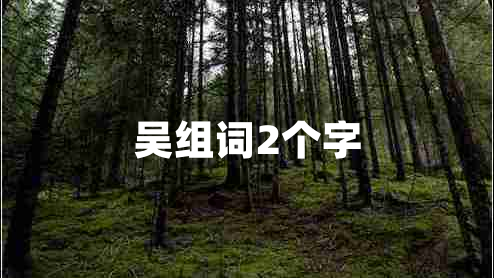 吳組詞2個字 吳組詞2個字