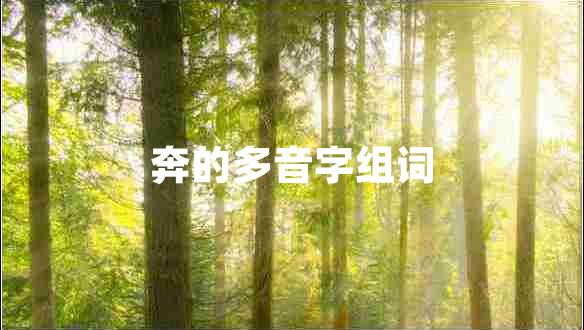 奔的多音字組詞 奔的多音字組詞