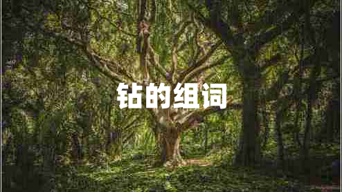 鉆的組詞 鉆的組詞