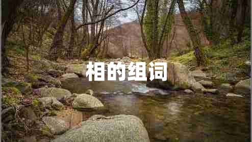 相的組詞