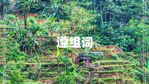 遵組詞