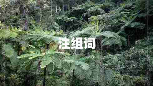 注組詞