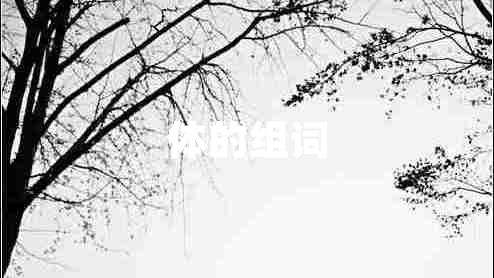 體的組詞