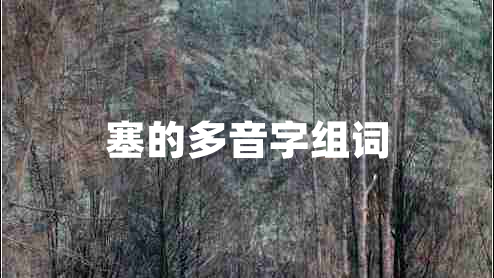 塞的多音字組詞