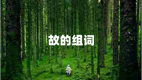 故的組詞 故的組詞