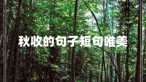 秋收的句子短句唯美
