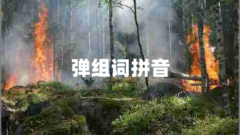 彈組詞拼音 彈組詞拼音