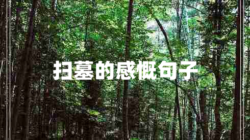 掃墓的感慨句子