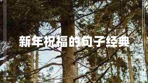 新年祝福的句子經(jīng)典