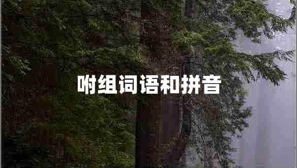 咐組詞語(yǔ)和拼音