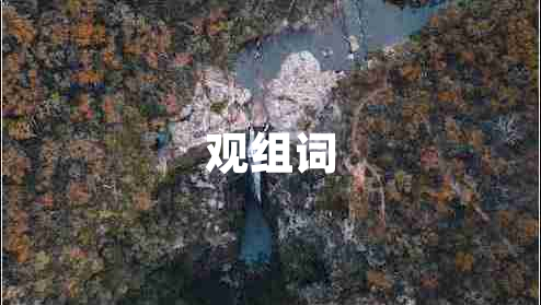 觀組詞 觀組詞