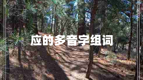 應(yīng)的多音字組詞