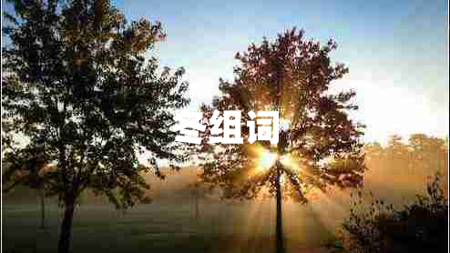 冬組詞