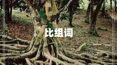 比組詞 比組詞