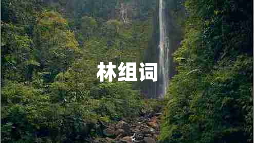 林組詞