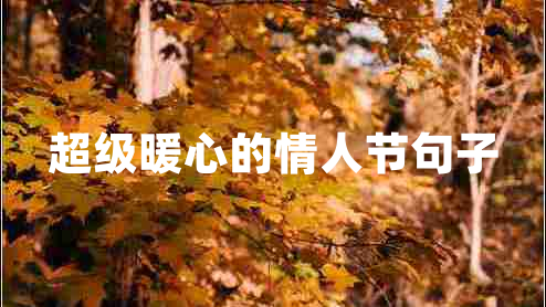 超級暖心的情人節(jié)句子