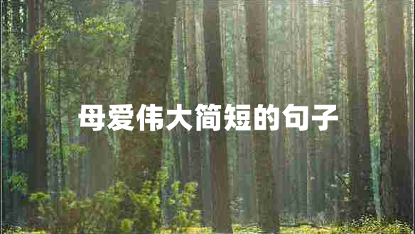 母愛偉大簡(jiǎn)短的句子 母愛偉大簡(jiǎn)短的句子