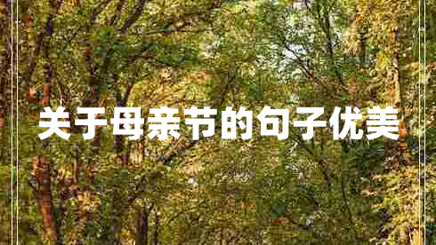 關(guān)于母親節(jié)的句子優(yōu)美
