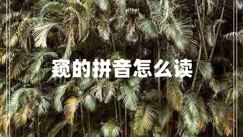 窺的拼音怎么讀 窺的拼音怎么讀