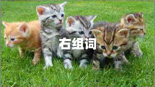 右組詞 右組詞