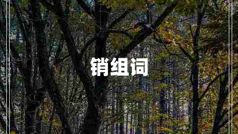 銷組詞