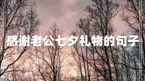 感謝老公七夕禮物的句子