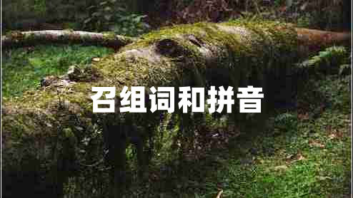 召組詞和拼音