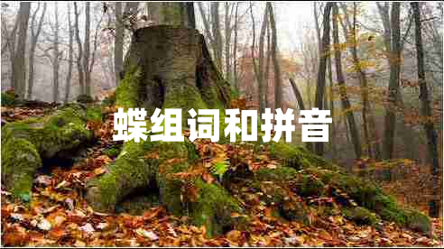蝶組詞和拼音