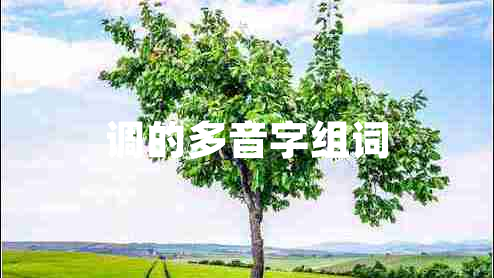 調(diào)的多音字組詞