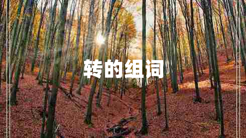 轉的組詞 轉的組詞