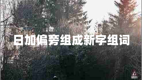 日加偏旁組成新字組詞