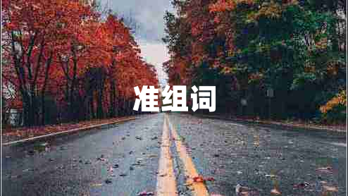 準(zhǔn)組詞
