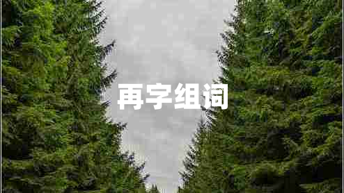 再字組詞