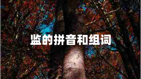 監(jiān)的拼音和組詞