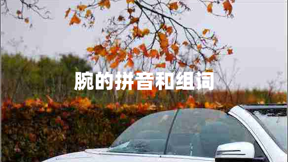 腕的拼音和組詞 腕的拼音和組詞