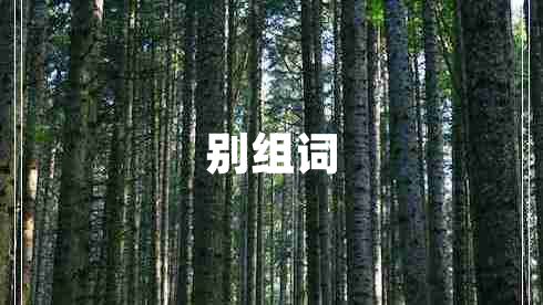 別組詞 別組詞