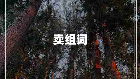 賣組詞