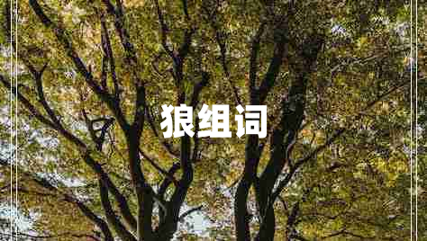 狼組詞 狼組詞