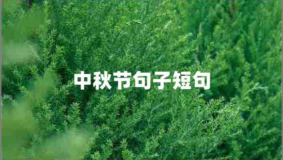 中秋節(jié)句子短句