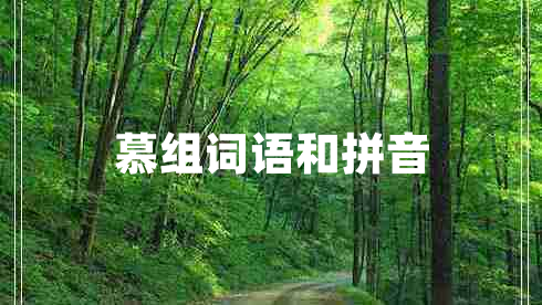 慕組詞語和拼音